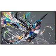 75" Philips 75BDL3511Q - Large-Format Display