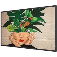 Philips 55BDL4511D/00 - Large-Format Display