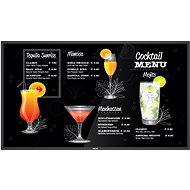 65" Philips 65BDL3117P - Large-Format Display