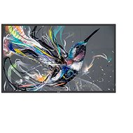 86" Philips 86BDL3550Q - Large-Format Display