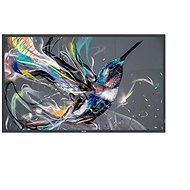 75" Philips 75BDL3550Q - Large-Format Display