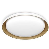 Philips Pebblo UltraEfficient LED ceiling light, 10 W, 1850 lm, 2700 K, white - Ceiling Light