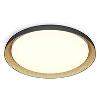 Philips Pebblo UltraEfficient LED ceiling light, 10 W, 1850 lm, 2700 K, black - Ceiling Light