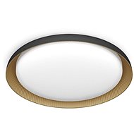 Philips Pebblo UltraEfficient LED ceiling light, 10 W, 1950 lm, 4000 K, black - Ceiling Light