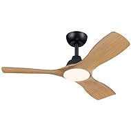 Philips Olas Fan ceiling Stropní svítidlo Olas Fan (ventilátor) + 24 W(světlo) 3000/4300/6500K 106 c - Fan