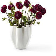 Philippi Vase Livree - Vase