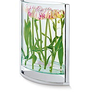 Philippi Glass Vase Decade 35 cm - Vase