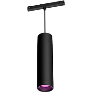 Philips Hue White and colour Ambiance Perifo pendant light black - Ceiling Light