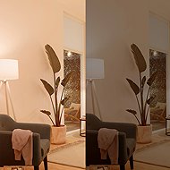 Philips Hero Table Light Type-C - Table Lamp