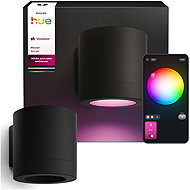 Philips Hue Muscari WCA wall light EU - Garden Lighting