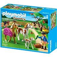PLAYMOBIL 5227 Paddock with Horses and Pony - Building Set
