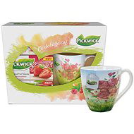Pickwick Geschenkbox mit Früchtetees mit einer Tasse FRÜHLING - Tee
