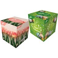 LINTEO BOX Taschentücher Ostern - 80 Stück - Papiertaschentuch