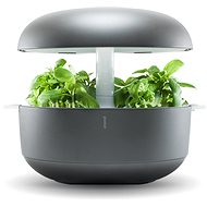 Plantui 6 Smart Garden, gray - Smart Flower Pot