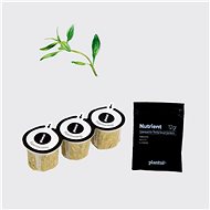 Plantui Summr Savory, 3 Capsules - Capsule