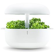 Plantui 6 Smart Garden, white - Smart Flower Pot