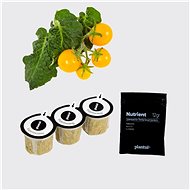 Plantui Cherry Tomatoes Venus, 3 Capsules - Capsule