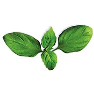 Plantui BASIL - Capsule