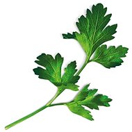 Plantui Flatleaf Parsley, 3 Capsules - Capsule