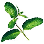 Plantui Mint - Capsule