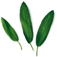 Plantui Sage, 3 Capsules - Capsule