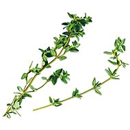 Plantui Thyme - Capsule