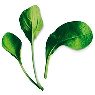 Plantui Pok Choy, Red - Capsule