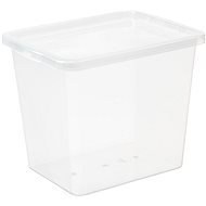 Plast Team Aufbewahrungsbox 31 l, 42,5 × 33 × 34,7 cm Basic Box, transparent - Aufbewahrungsbox