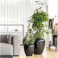 Plastia Calimera diameter 50cm A1 unpainted, black + black - Flower Pot