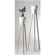 Caliper of BAOBAB 809 mm stand - Flower Stand
