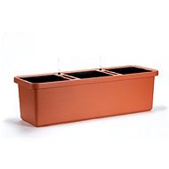 Plastia Self-watering Box Berberis TRIO, Terracotta - Flower Box