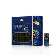 Plant EO Gift set of 8 essential oils - Essential Oil Set