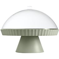 Blim Plus Tray with lid Agora AZ1-314 Forest Medium - Tray