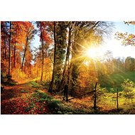 Fototapeta 368x254 Lesní cesta - Fototapeta