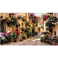 Fototapeta 416x254 Květinová ulička - Fototapeta