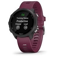 Garmin Forerunner 245 - Smartwatch