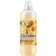 COCCOLINO Orange Rush 975 ml (39 washes) - Fabric Softener
