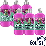 COCCOLINO Snapdragon & Patchouli 6 × 1275 ml - Fabric Softener