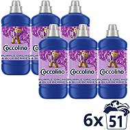 COCCOLINO Purple Orchid & Blueberries 6 × 1275 ml - Fabric Softener