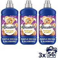 COCCOLINO Purple Orchid & Blueberry 3x 1,288 l (56 praní) - Fabric Softener
