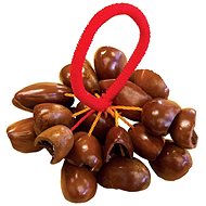 PP WORLD Percussion African Nut Shell Shaker - Percussion