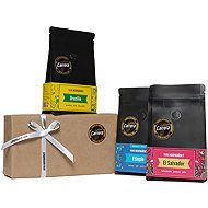 Roastery Farmhouse Coffee Tasting Pack 3 pcs - gift wrapped - Coffee