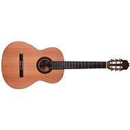 Prodipe Guitars STUDENT 4/4 - Classical Guitar