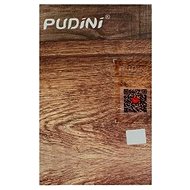 Pudini Lenovo A2010 21371 - Glass Screen Protector