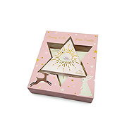 ACTIVE Eyeshadow and blush set - Blush