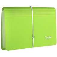 KARTON P+P Opaline document organiser with elastic band (13 pockets) DL, green - Document Folder