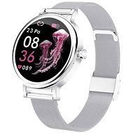 Printwell PW-105, Silver - Smart Watch