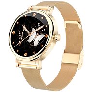 Printwell PW-105, Gold - Smart Watch