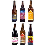 WitchCRAFT SIX PACK 6x 0,75l - Beer