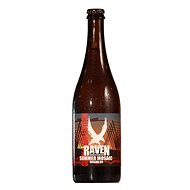 Raven Summer Mosaic IPA 11° - Beer
